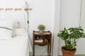 Bed with white linens, wooden nightstand with plant, and potted monstera on green tiled floor.