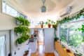 Bright kitchen with hanging and potted plants, large windows, and wooden floors.