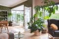 Open living room with green walls, large plants, wicker baskets, a gray armchair, and a dining table with wooden chairs.