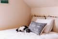 Cat sleeping on a bed with a gray patterned pillow and beige headboard.