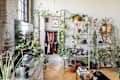 Living room with plants, shelves of decor, and a view into a closet with hanging clothes.