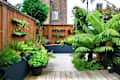 Urban garden with wooden fencing, lush ferns, potted plants, and wall-mounted planters.