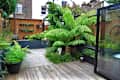 Urban garden with lush ferns, potted plants, and wooden decking, surrounded by a wooden fence and brick buildings.