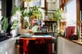 sunny workspace by window with lots of plants, books