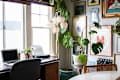 workspace/office in corner of dining room with lots of plants, window letting in light, gallery wall