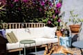 sunny outdoor patio area with wood bench with off white cushions, small green table, outdoor rug/mat, blooming bougainvillea plants and other potted plants. Dog in foreground
