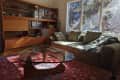 Living room with lots vintage finds in light filled apartment.
