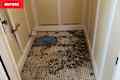 Tile removed from bathroom before renovation.