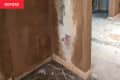 Walls under staircase and around doorway before being painted.