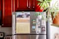 Fridge with a calendar featuring kittens for March, various magnets, and potted plants above.