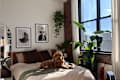 Cozy bedroom with a brown poodle on a bed, framed art on the wall, and large plants by the window.