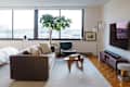 Modern living room with a brown sofa, green plant, glass coffee table, and a black chair near large windows.