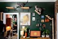 Two gray cats on wooden shelves against a dark green wall, with a TV, plants, and decor items nearby.