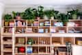 Wooden bookshelf filled with colorful books, vintage cameras, plants, and decorative items, creating a cozy reading space.