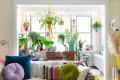 Living room with colorful cushions, lush plants, and a wooden desk by the window, creating a vibrant, cozy atmosphere.