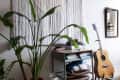 Room corner with a large potted plant, wall tapestry, small desk with books, and an acoustic guitar leaning against the wall.