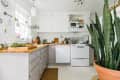 White kitchen with snake plant in foreground