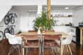 Dining area with wooden table, brown and white chairs, large plant, and kitchen in background with open shelving and appliances.