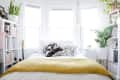 Bright bedroom with a yellow blanket, patterned pillows, large plants, and bookshelves by bay windows.