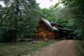 Wooden cabin with large windows surrounded by lush green trees, gravel driveway, and a parked car under a carport.
