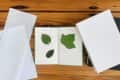 Open book with pressed green leaves on a wooden table, surrounded by blank sheets and closed books.