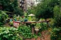 Lush community garden with raised beds, potted plants, a watering can, and a brick path surrounded by greenery and flowers.