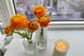 Bud vases in sunny window.