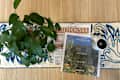 A green potted plant on a decorative table runner with two newspapers and a white cup on a wooden surface.