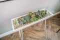 Glass-top console table with a succulent garden and pebbles, set on a wooden herringbone floor.
