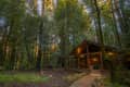 Cabin with warm lights nestled among tall trees in a forest setting.
