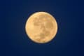 Full moon against a deep blue night sky.