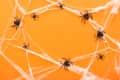 Black plastic spiders on white cobwebs against an orange background.
