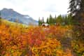Cabin surrounded by vibrant autumn foliage with mountains in the background.