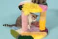 Two cats on a colorful, multi-level cat tree with pastel shaggy textures.