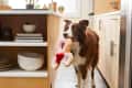 Brown and white dog holding a plush donut toy in a modern kitchen.