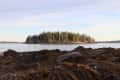 Rocky shoreline with seaweed in foreground, small forested island in the distance under a clear sky.