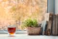 Glass mug of tea, wicker basket with green plant, and vintage books on a windowsill with raindrops outside.