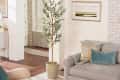 Living room with a potted olive tree, gray sofa, blue and patterned pillows, and a landscape painting on the wall.