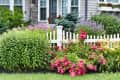 Colorful garden with pink and purple flowers, green shrubs, and a white picket fence in front of a stone house.