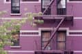 fire escape new york purple