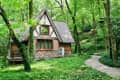 A-frame cabin with stone base and wooden siding, surrounded by lush green forest and a stone path.