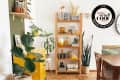 Living room with wooden shelves, yellow cabinet, potted plants, and a dining table. Grand prize winner badge on wall.