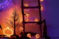Halloween-themed decor with pumpkin string lights, a glowing pumpkin lamp, and a bare tree on a wooden ladder.