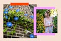 A woman in a floral dress stands among yellow flowers, with blue morning glories climbing a brick wall nearby.