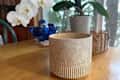 Bath & Body Works Santal + Amber 4-Wick Candle on table with orchid plant in background