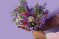 Hand holding a vibrant bouquet of purple, pink, and red flowers against a purple background.
