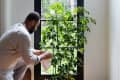 Man tending to a potted plant by a large window, with a view of trees and a house outside.