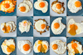 fried egg 15 ways