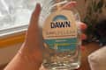 Someone bottle of Dawn soap.