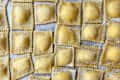 cheese ravioli on a baking tray with flour on top, prior to baking